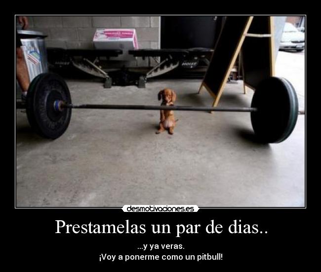Prestamelas un par de dias.. - 