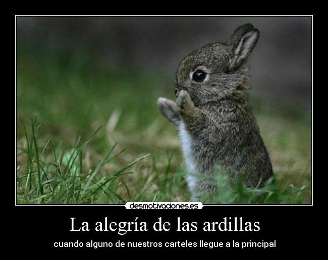 La alegría de las ardillas - 