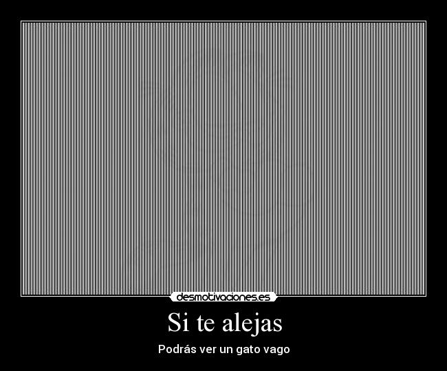 Si te alejas - Podrás ver un gato vago