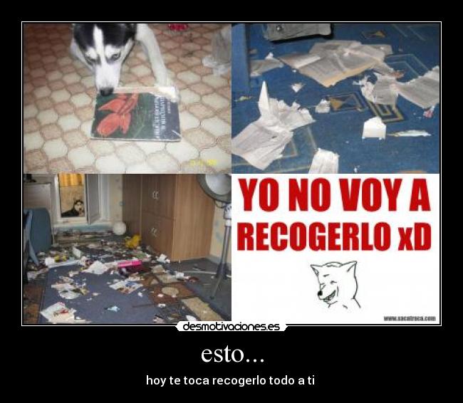 esto... - hoy te toca recogerlo todo a ti