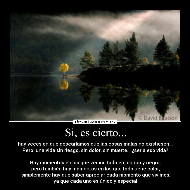 Si, es cierto... - hay veces en que desearíamos que las cosas malas no existiesen...
Pero  una vida sin riesgo, sin dolor, sin muerte... ¿seria eso vida?

Hay momentos en los que vemos todo en blanco y negro,
 pero también hay momentos en los que todo tiene color,
 simplemente hay que saber apreciar cada momento que vivimos,
ya que cada uno es único y especial