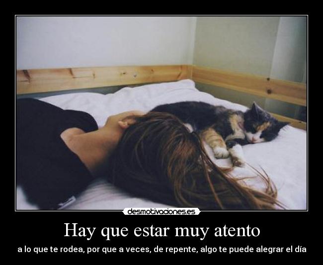 Hay que estar muy atento - a lo que te rodea, por que a veces, de repente, algo te puede alegrar el día