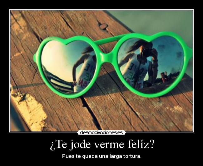 ¿Te jode verme felíz? -