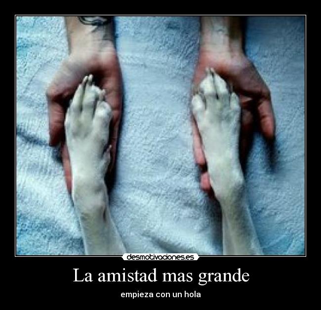 La amistad mas grande - 