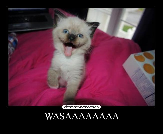 WASAAAAAAAA -