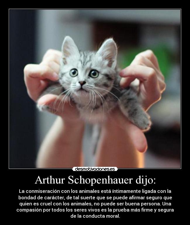 Arthur Schopenhauer dijo: - La conmiseración con los animales está íntimamente ligada con la
bondad de carácter, de tal suerte que se puede afirmar seguro que
quien es cruel con los animales, no puede ser buena persona. Una
compasión por todos los seres vivos es la prueba más firme y segura
de la conducta moral.