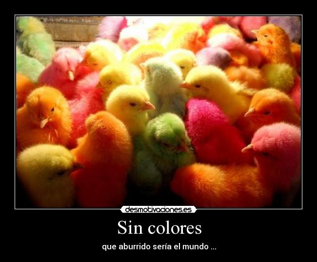 Sin colores - 