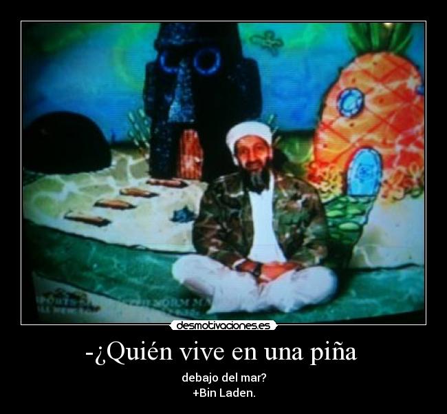 carteles tebi lol jajaja desmotivaciones