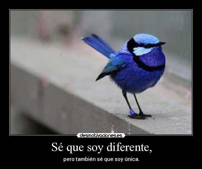Sé que soy diferente, - 