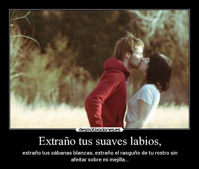 carteles desamor desmotivaciones