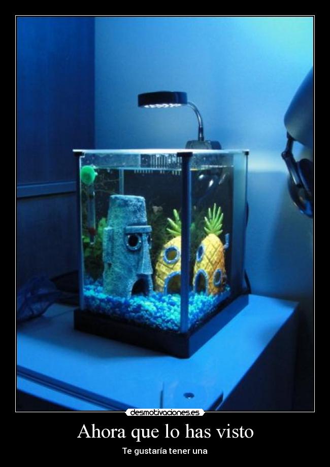 Ahora que lo has visto - Te gustaría tener una