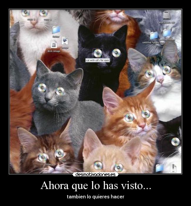 Ahora que lo has visto... - 