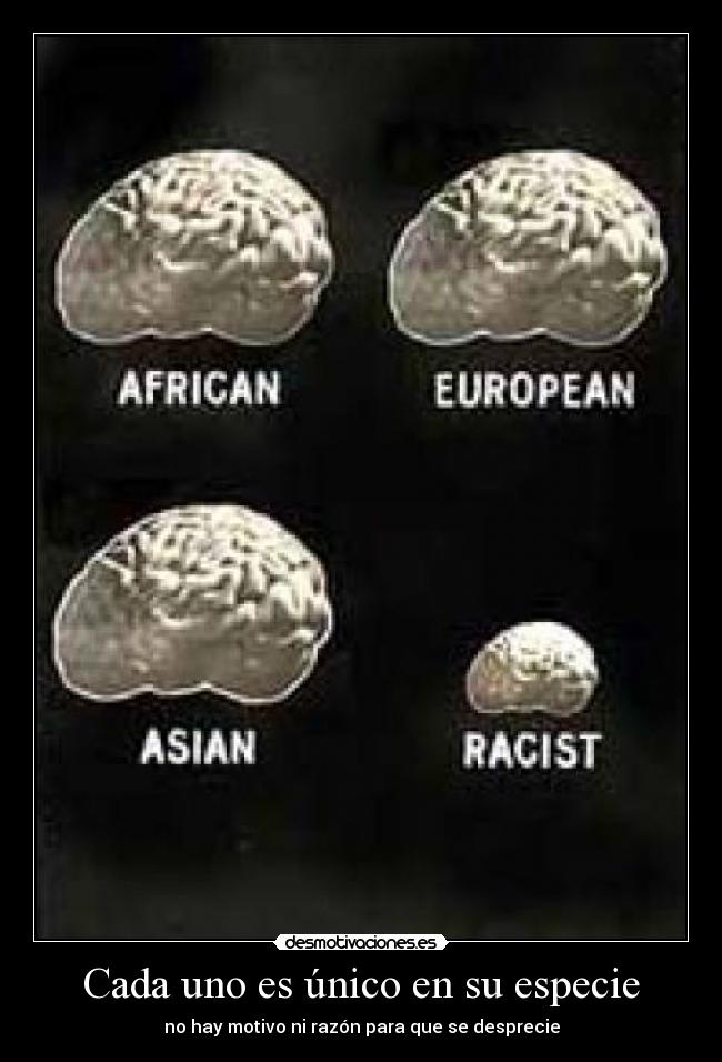 Cada uno es único en su especie -