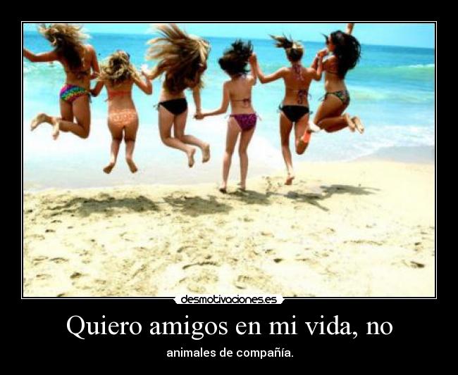 Quiero amigos en mi vida, no -
