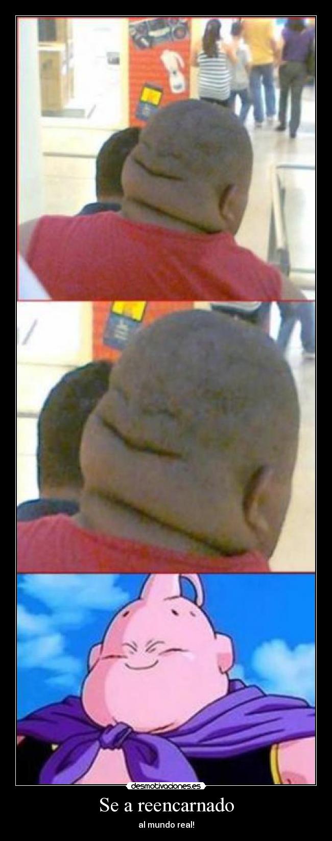 Se a reencarnado - al mundo real!
