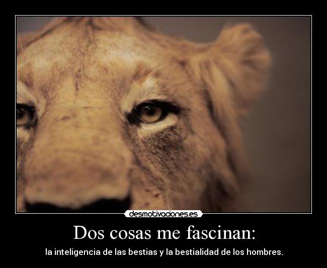 Dos cosas me fascinan: - 