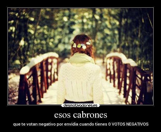 esos cabrones - que te votan negativo por envidia cuando tienes 0 VOTOS NEGATIVOS