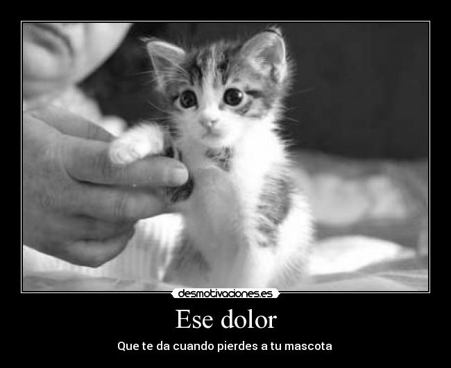 Ese dolor - 