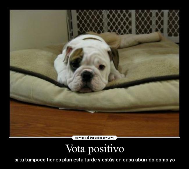 Vota positivo -