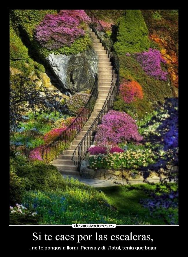 Si te caes por las escaleras, - , no te pongas a llorar. Piensa y dí. ¡Total, tenía que bajar!