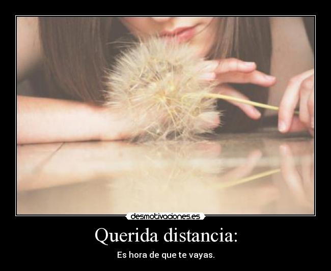 carteles distancia tuki321 desmotivaciones