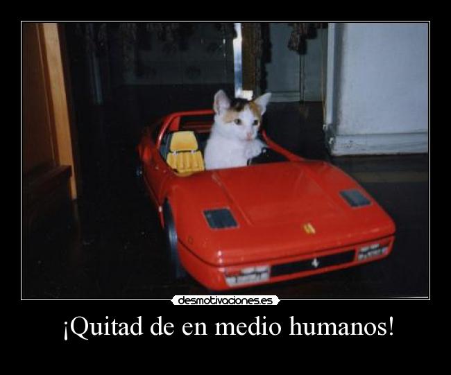 ¡Quitad de en medio humanos! -