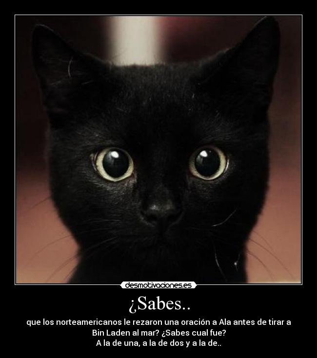 ¿Sabes.. - 