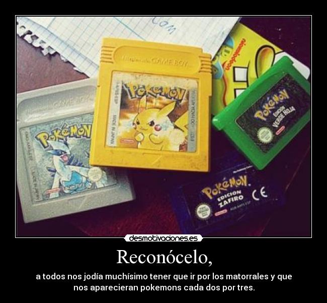 Reconócelo, - a todos nos jodía muchísimo tener que ir por los matorrales y que
nos aparecieran pokemons cada dos por tres.