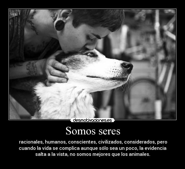 Somos seres -  racionales, humanos, conscientes, civilizados, considerados, pero
cuando la vida se complica aunque sólo sea un poco, la evidencia
salta a la vista, no somos mejores que los animales.
