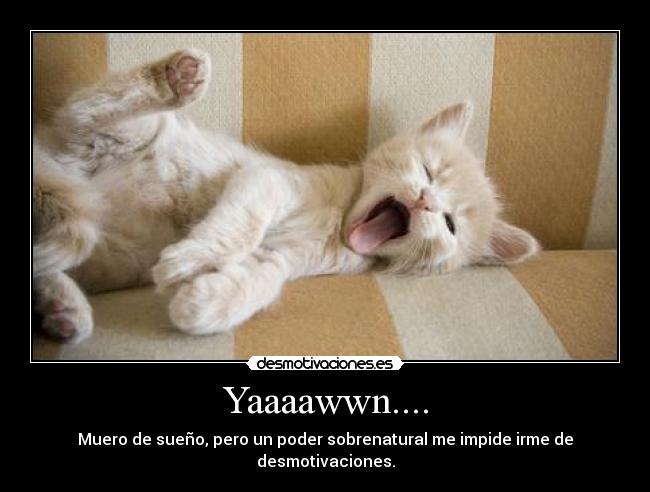 Yaaaawwn.... - 