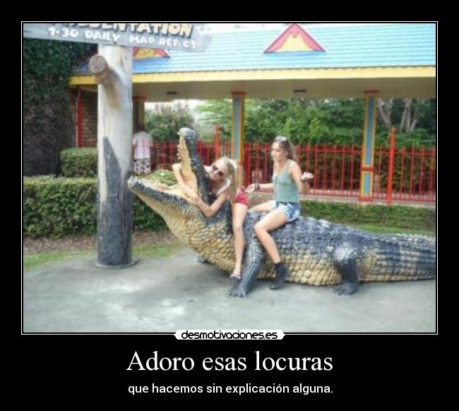 Adoro esas locuras -