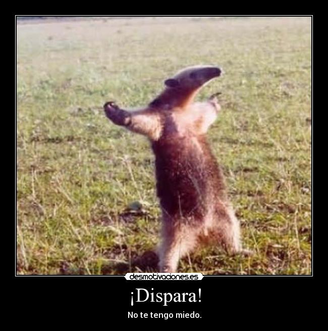 ¡Dispara! - 