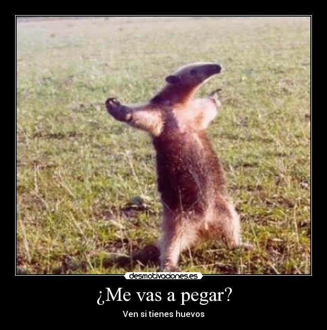 ¿Me vas a pegar? - 