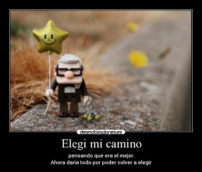 Elegi mi camino -