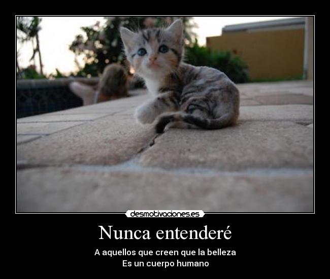 Nunca entenderé - A aquellos que creen que la belleza
Es un cuerpo humano