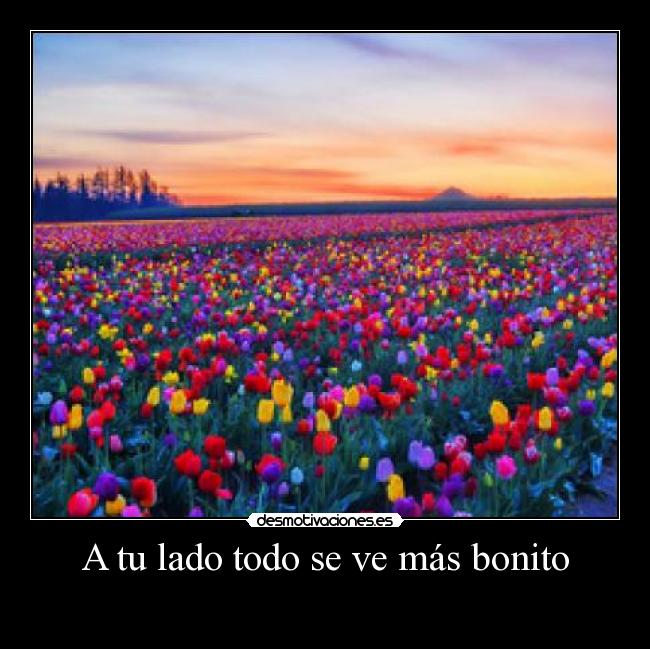 A tu lado todo se ve más bonito - 
