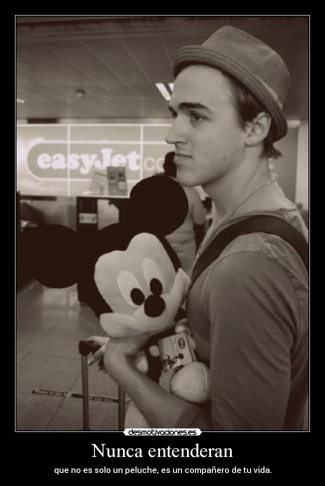 Nunca entenderan - 