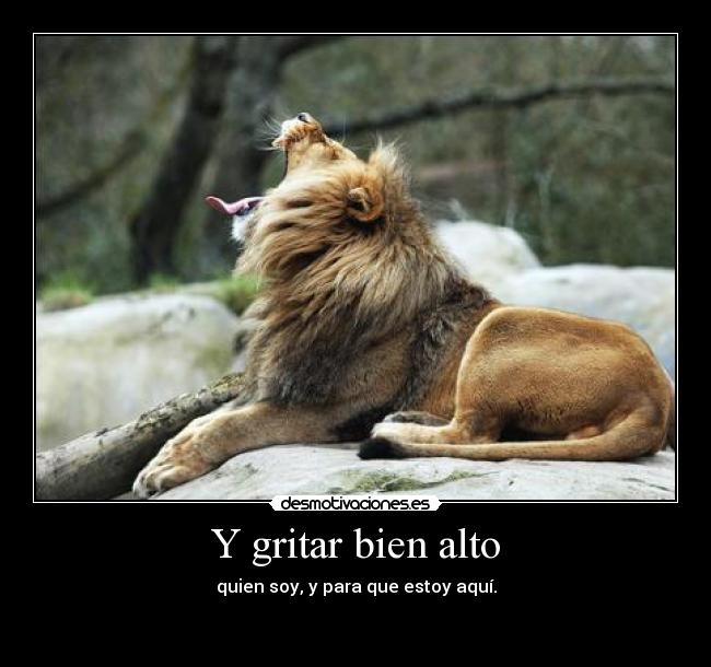 Y gritar bien alto - quien soy, y para que estoy aquí.

