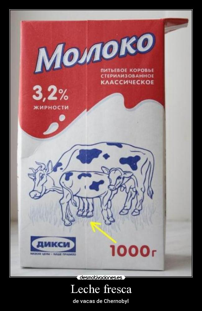 carteles vaca desmotivaciones