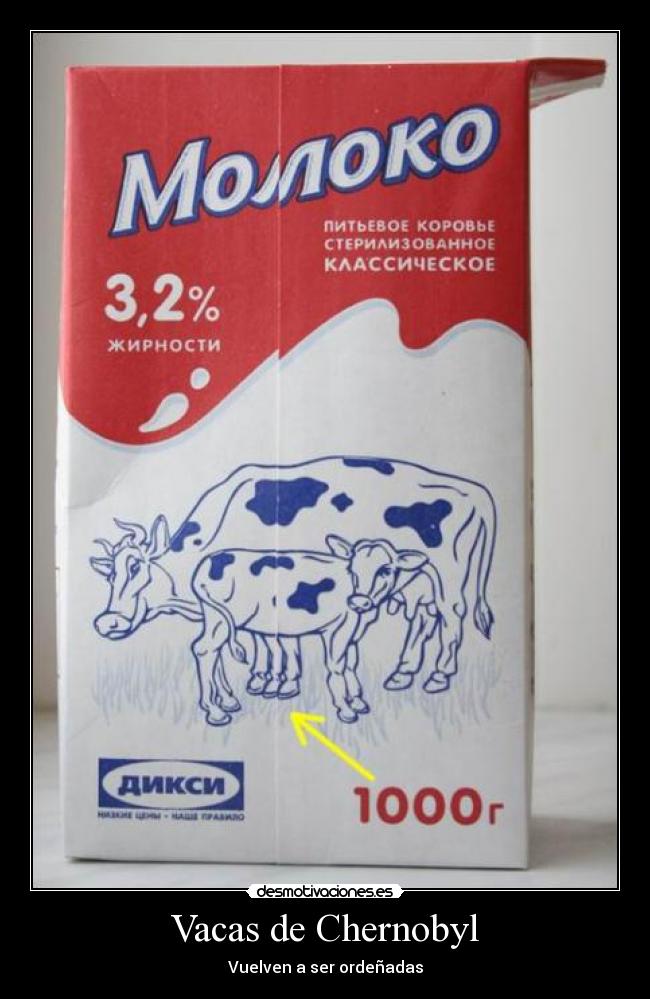 carteles vacas chernobyl vuelven ser ordenadas vaca con tres patas chernobylenses desmotivaciones