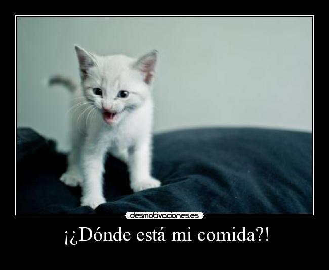 ¡¿Dónde está mi comida?! -