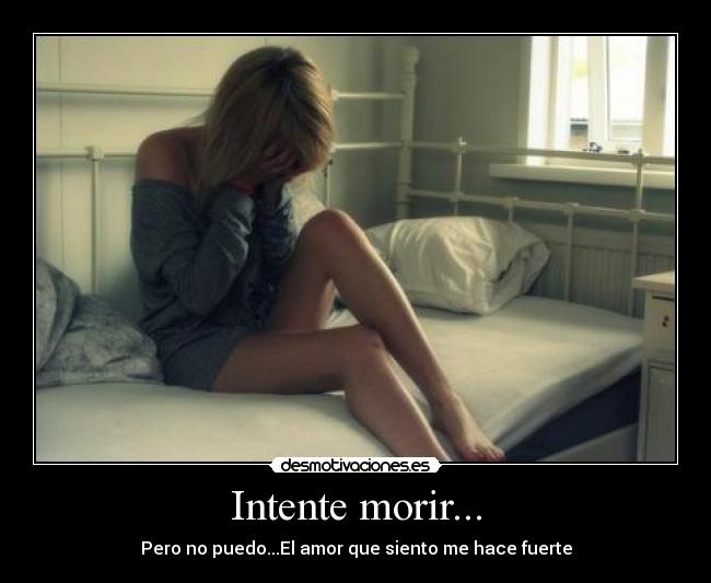 carteles intente desmotivaciones