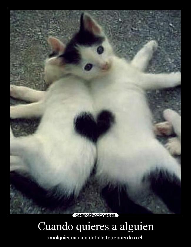 Cuando quieres a alguien - cualquier mínimo detalle te recuerda a él.