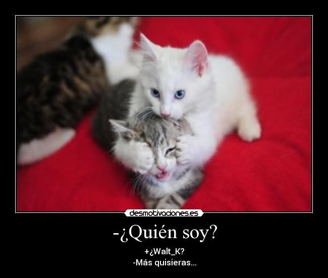 -¿Quién soy? - +¿Walt_K?
-Más quisieras...