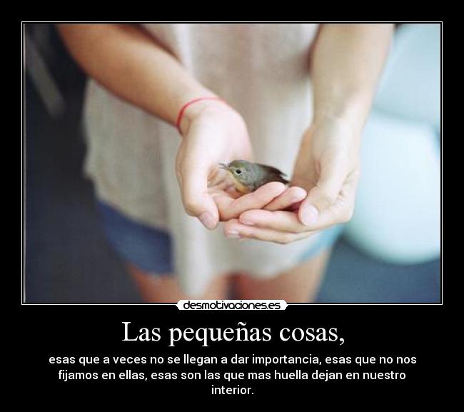 Las pequeñas cosas, - 