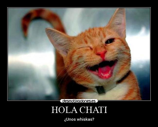 HOLA CHATI - 