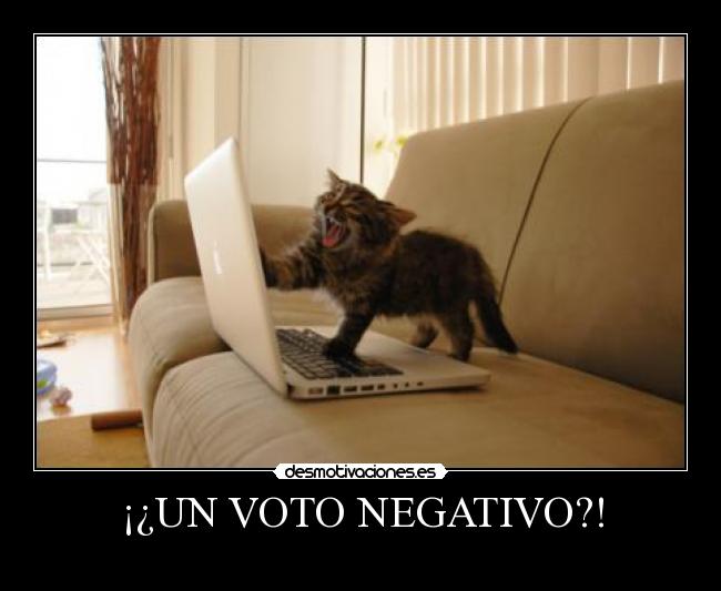 ¡¿UN VOTO NEGATIVO?! - 