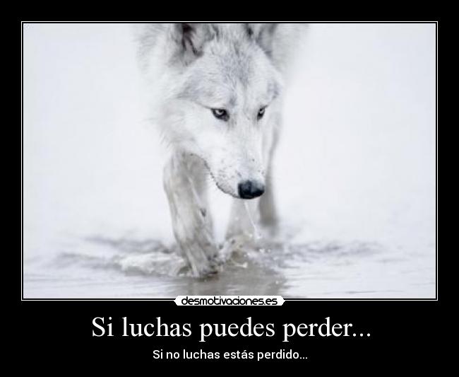 carteles carmen_122 desmotivaciones