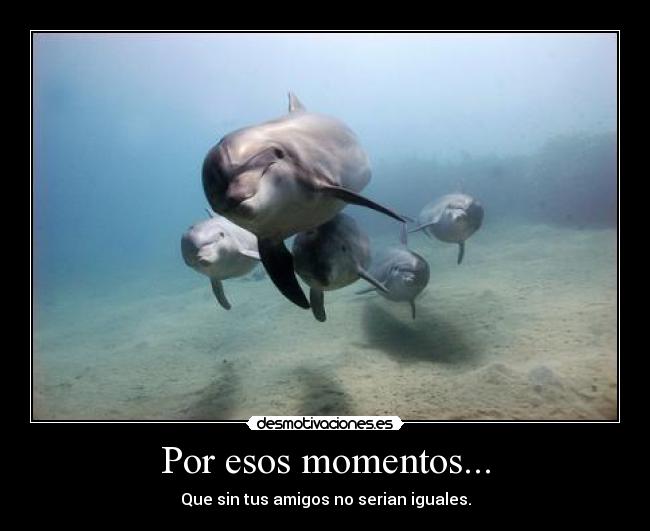 Por esos momentos... - Que sin tus amigos no serian iguales.