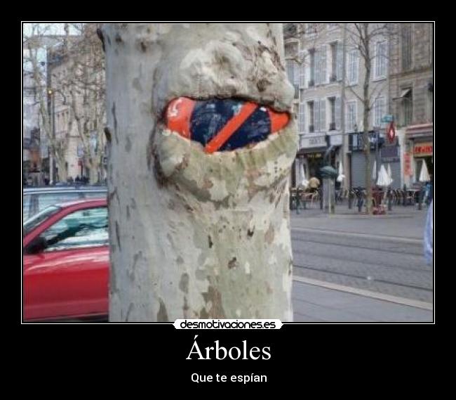 Árboles - 